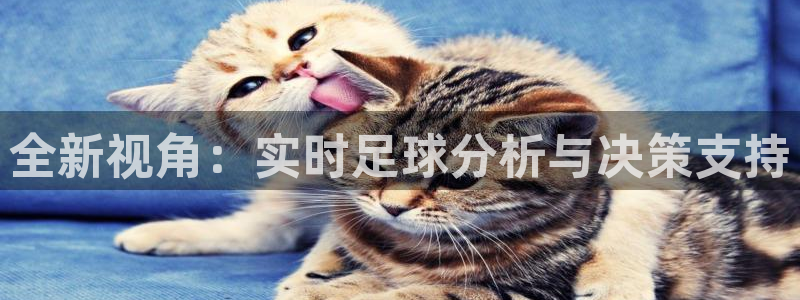 全新视角：实时足球分析与决策支持