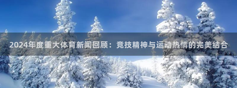 2024年度重大体育新闻回顾：竞技精神与运动热情的完美结合