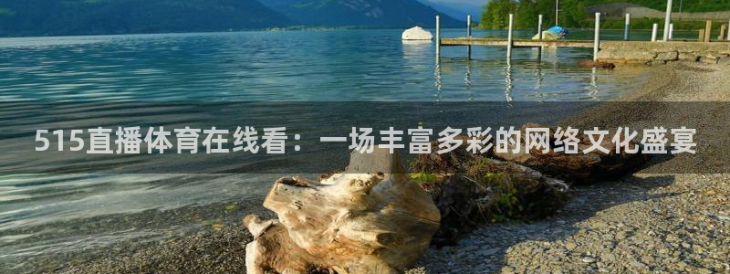515直播体育在线看：一场丰富多彩的网络文化盛宴