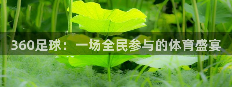 360足球：一场全民参与的体育盛宴
