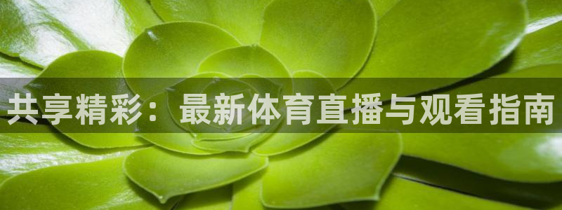 共享精彩：最新体育直播与观看指南