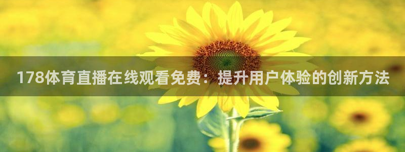 178体育直播在线观看免费：提升用户体验的创新方法