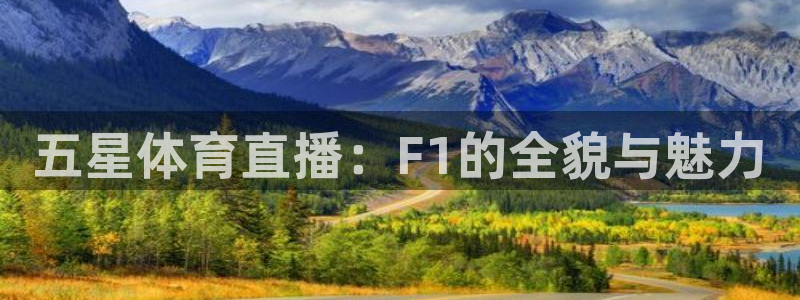 五星体育直播：F1的全貌与魅力