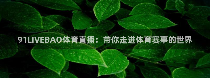 91LIVEBAO体育直播：带你走进体育赛事的世界