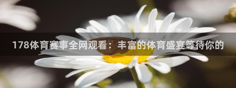 178体育赛事全网观看：丰富的体育盛宴等待你的