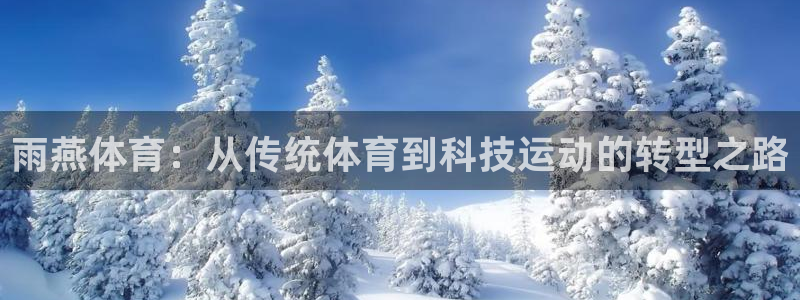 雨燕体育：从传统体育到科技运动的转型之路