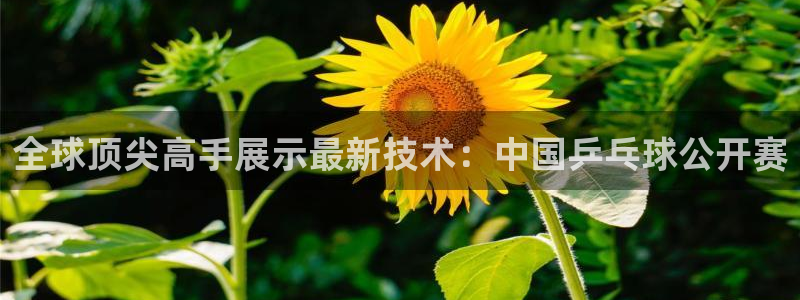 全球顶尖高手展示最新技术：中国乒乓球公开赛