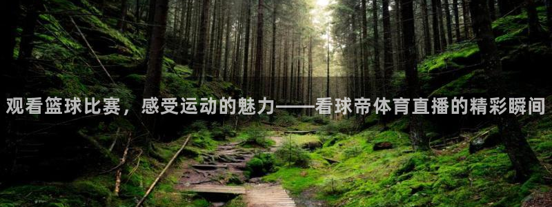 观看篮球比赛，感受运动的魅力——看球帝体育直播的精彩瞬间