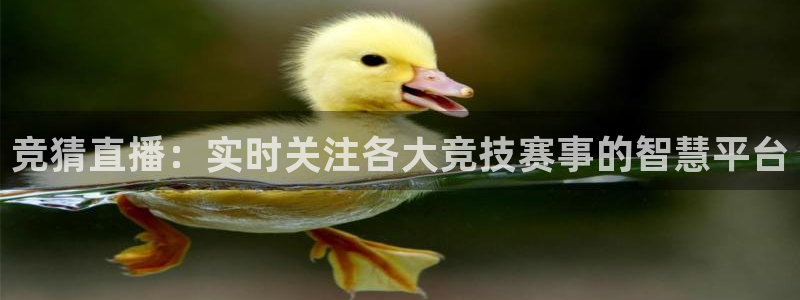 竞猜直播：实时关注各大竞技赛事的智慧平台