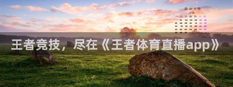 王者竞技，尽在《王者体育直播app》