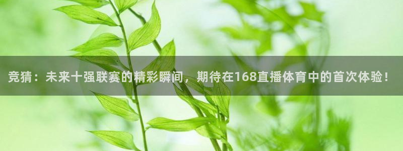 竞猜：未来十强联赛的精彩瞬间，期待在168直播体育中的首次体验！