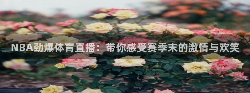 NBA劲爆体育直播：带你感受赛季末的激情与欢笑