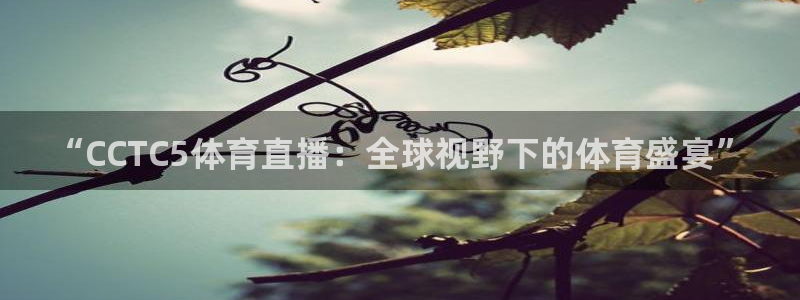“CCTC5体育直播：全球视野下的体育盛宴”