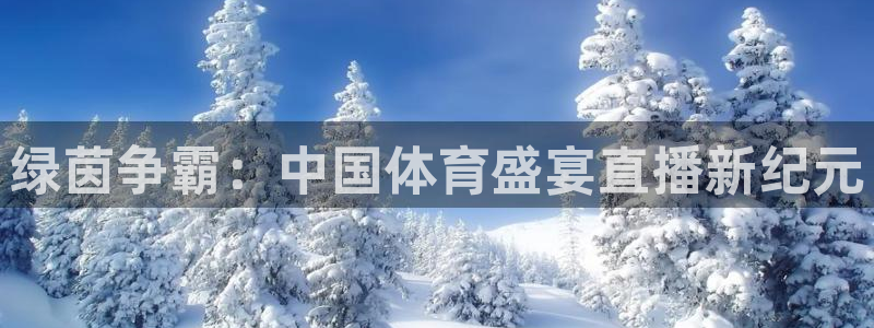 绿茵争霸：中国体育盛宴直播新纪元