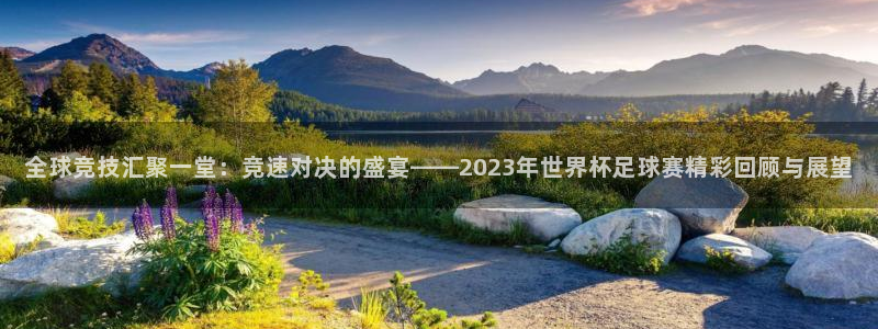 全球竞技汇聚一堂：竞速对决的盛宴——2023年世界杯足球赛精彩回顾与展望
