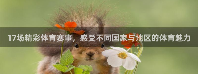 17场精彩体育赛事，感受不同国家与地区的体育魅力