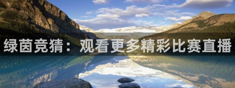绿茵竞猜：观看更多精彩比赛直播