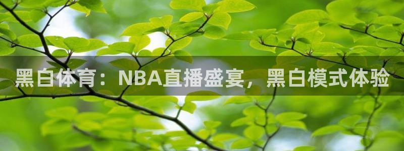 黑白体育：NBA直播盛宴，黑白模式体验