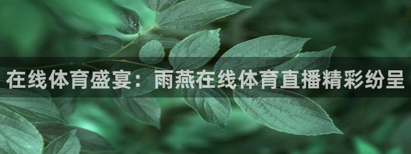 在线体育盛宴：雨燕在线体育直播精彩纷呈