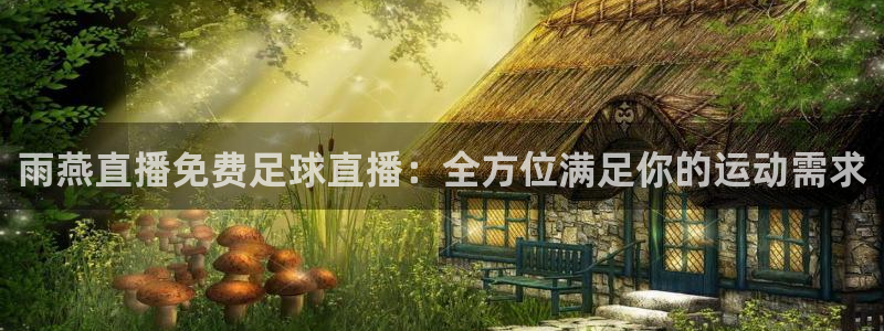 雨燕直播免费足球直播：全方位满足你的运动需求