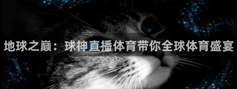 地球之巅：球神直播体育带你全球体育盛宴