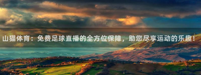 山猫体育：免费足球直播的全方位保障，助您尽享运动的乐趣！