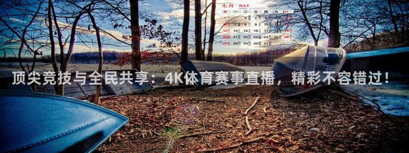 顶尖竞技与全民共享：4K体育赛事直播，精彩不容错过！