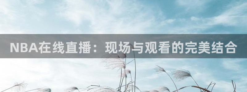 NBA在线直播：现场与观看的完美结合
