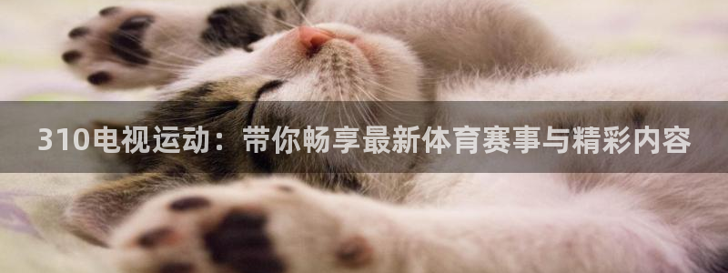 310电视运动：带你畅享最新体育赛事与精彩内容