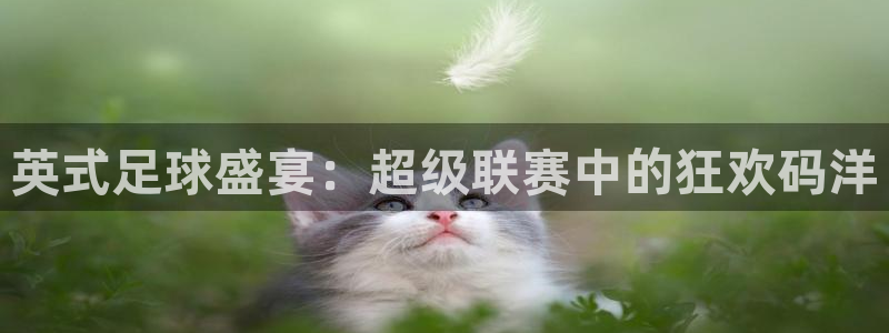 英式足球盛宴：超级联赛中的狂欢码洋