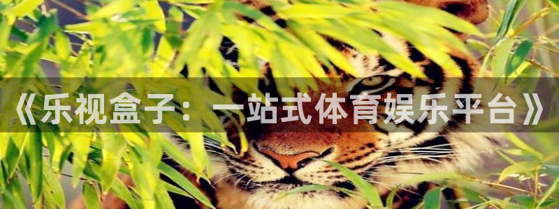 《乐视盒子：一站式体育娱乐平台》