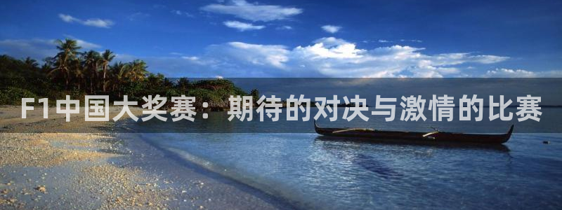 F1中国大奖赛：期待的对决与激情的比赛