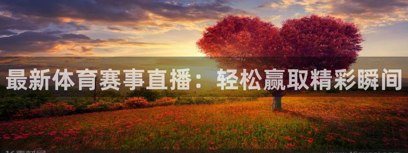 最新体育赛事直播：轻松赢取精彩瞬间