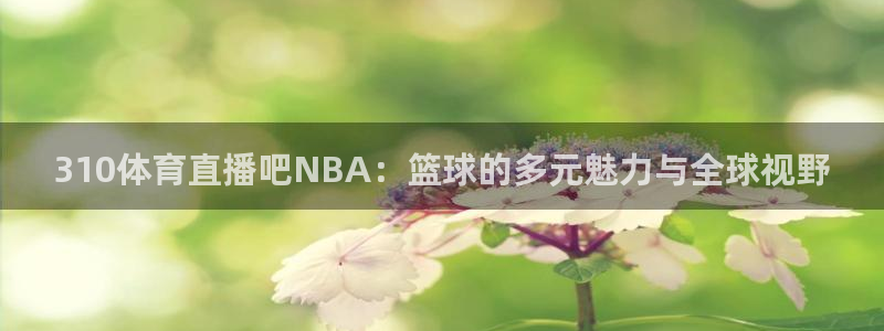 310体育直播吧NBA：篮球的多元魅力与全球视野