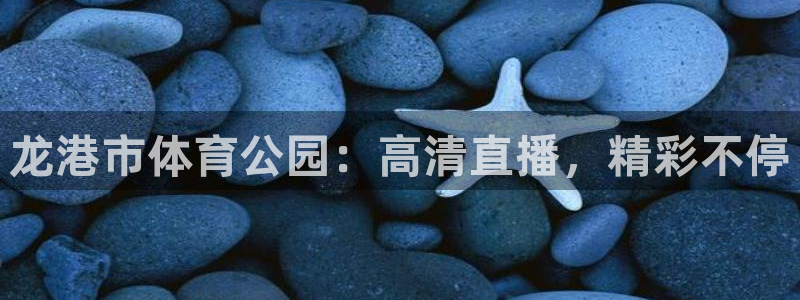 龙港市体育公园：高清直播，精彩不停