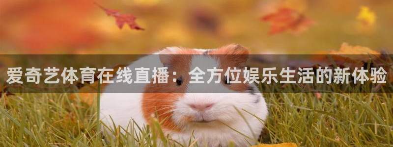爱奇艺体育在线直播：全方位娱乐生活的新体验
