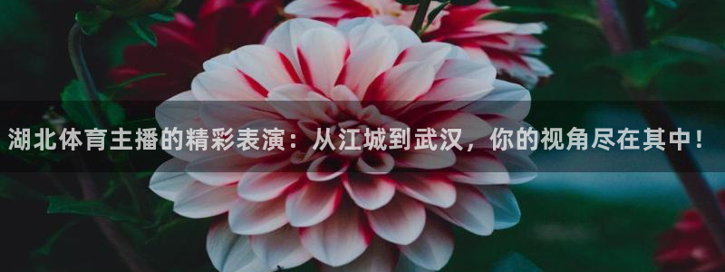 湖北体育主播的精彩表演：从江城到武汉，你的视角尽在其中！