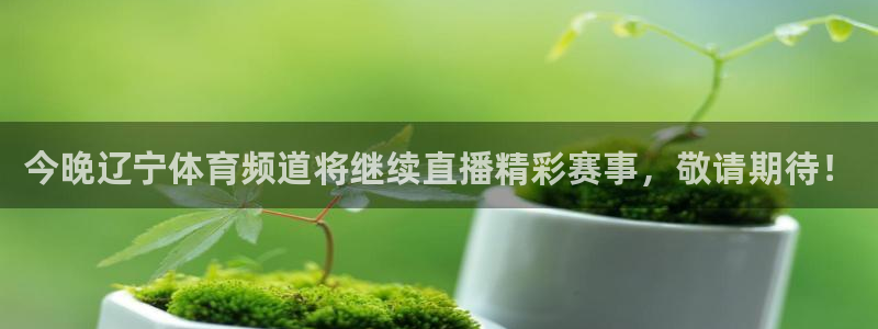 今晚辽宁体育频道将继续直播精彩赛事，敬请期待！