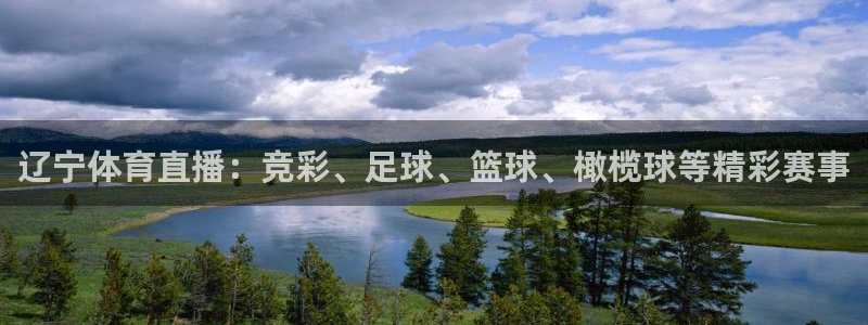 辽宁体育直播：竞彩、足球、篮球、橄榄球等精彩赛事