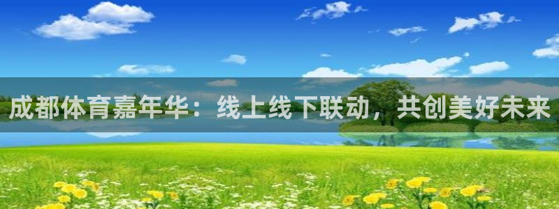 成都体育嘉年华：线上线下联动，共创美好未来
