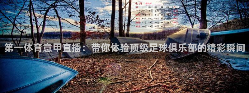 第一体育意甲直播：带你体验顶级足球俱乐部的精彩瞬间