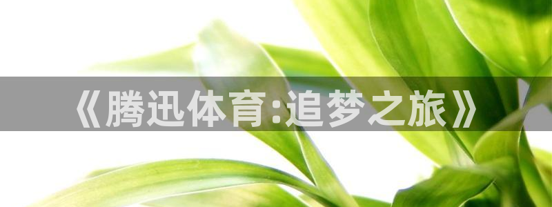 《腾迅体育:追梦之旅》