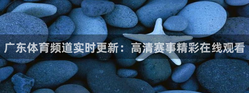 广东体育频道实时更新：高清赛事精彩在线观看