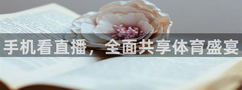 手机看直播，全面共享体育盛宴