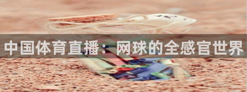 中国体育直播：网球的全感官世界