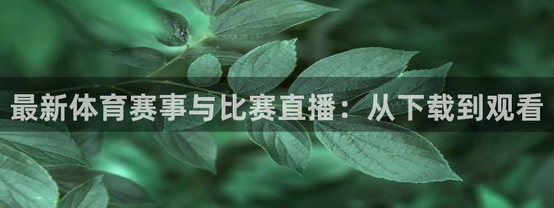 最新体育赛事与比赛直播：从下载到观看
