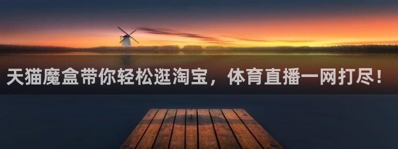 天猫魔盒带你轻松逛淘宝，体育直播一网打尽！