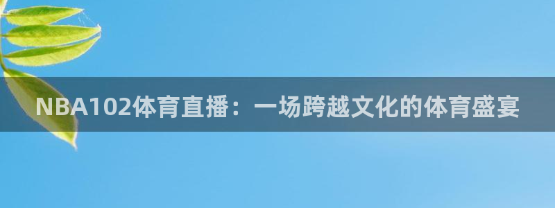 NBA102体育直播：一场跨越文化的体育盛宴